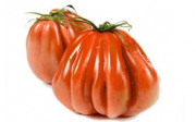 POMODORI CUORE DI BUE