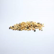 LENTICCHIE UMBRE - PRIMOSOLE