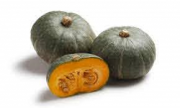 ZUCCA