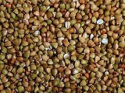 GRANO SARACENO DECORTICATO - BONGIOVANNI