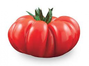 POMODORI COSTOLUTI