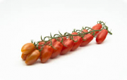 POMODORO MINI SAN MARZANO