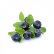 NETTARE DI MIRTILLI 200ML - FIORANI